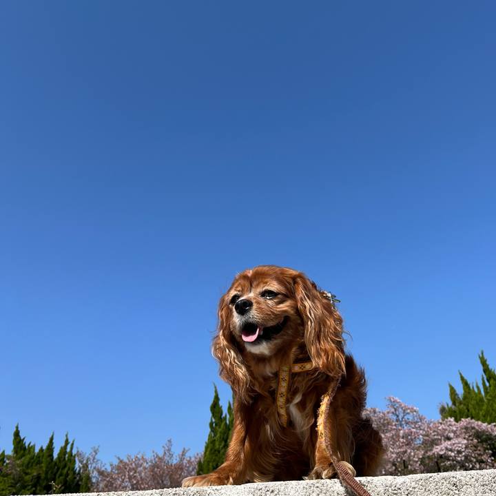 E0b587b4 b638 4169 a517 5d710c2a7f0e 1713054071609