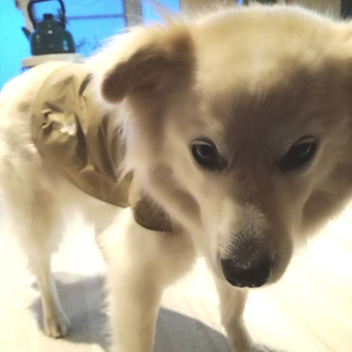 E0b58c3c c7d1 43f5 9955 ebe7ae9a822d 1520294407995