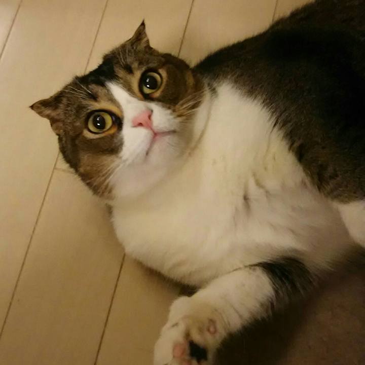 E0b5b24e 0939 46ac be37 15e43383c71b 1521289941600