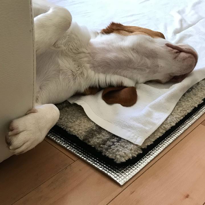 E0b5bade c99f 444d 8b16 aca9537e7b29 1530328214552