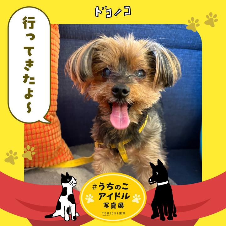 E0b5cd77 3ffb 457e 8a41 ae3cda8f79ac 1761303621363