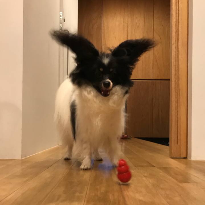 E0b5cf5f bfa5 4062 a5b4 95e5943985d7 1529406001407