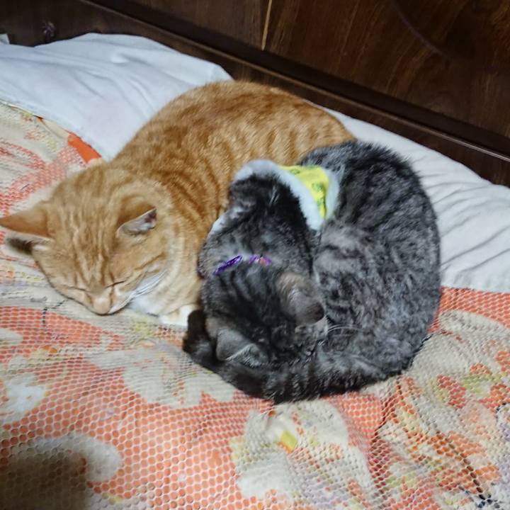 E0b5d05f 79f4 4c9f b87e 48213ef91a44 1586527209187