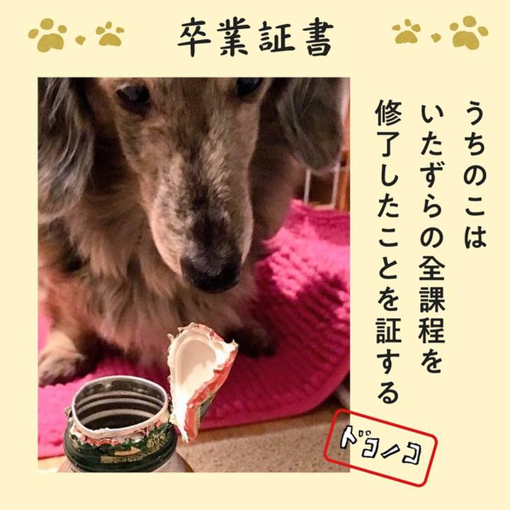 E0b5e798 39d6 4bc4 9a64 6defbf1dc7ac 1772289566871