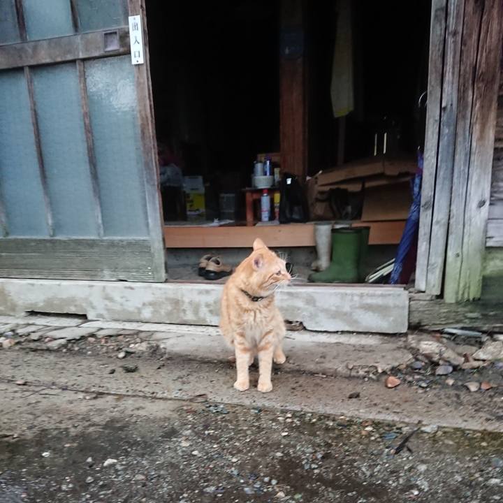 E0b60b02 e516 49e9 974e 7b3e95a8619e 1660770369220