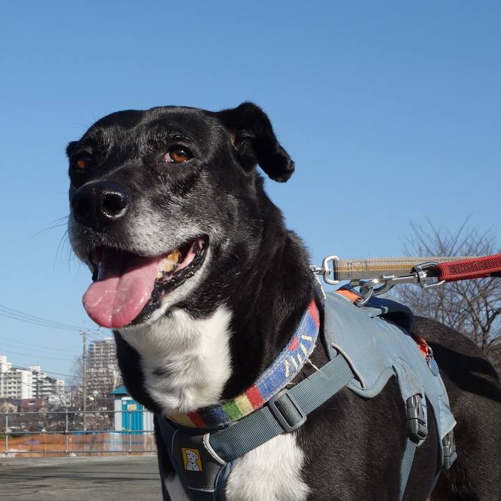 E0b62dfe 227e 4d32 96ba ef9e0ee24a0d 1741825735874