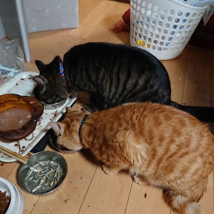 E0b666ac 82ce 4e08 806b 099279eb1141 1641205931060