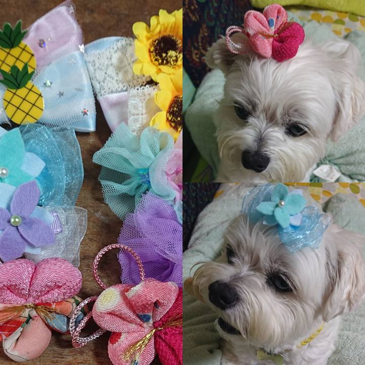 E0b6867b 671a 4346 ad95 1cf73feec7b2 1622784852954