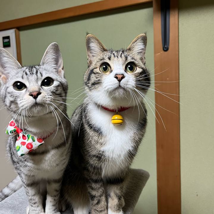 E0b6c800 36f8 46d3 86cf e695bcf74e45 1711454193654