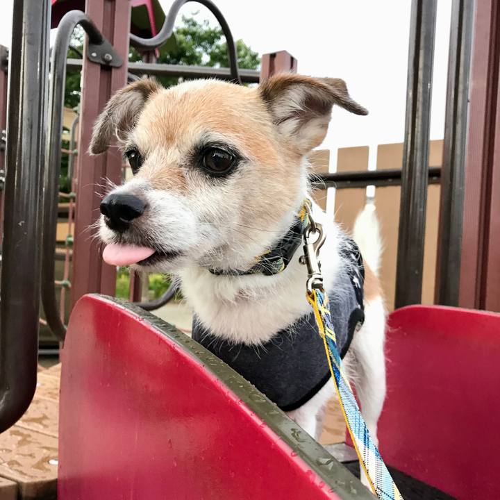 E0b6cd77 8e2d 43be ae42 3a41d974031e 1660340104784