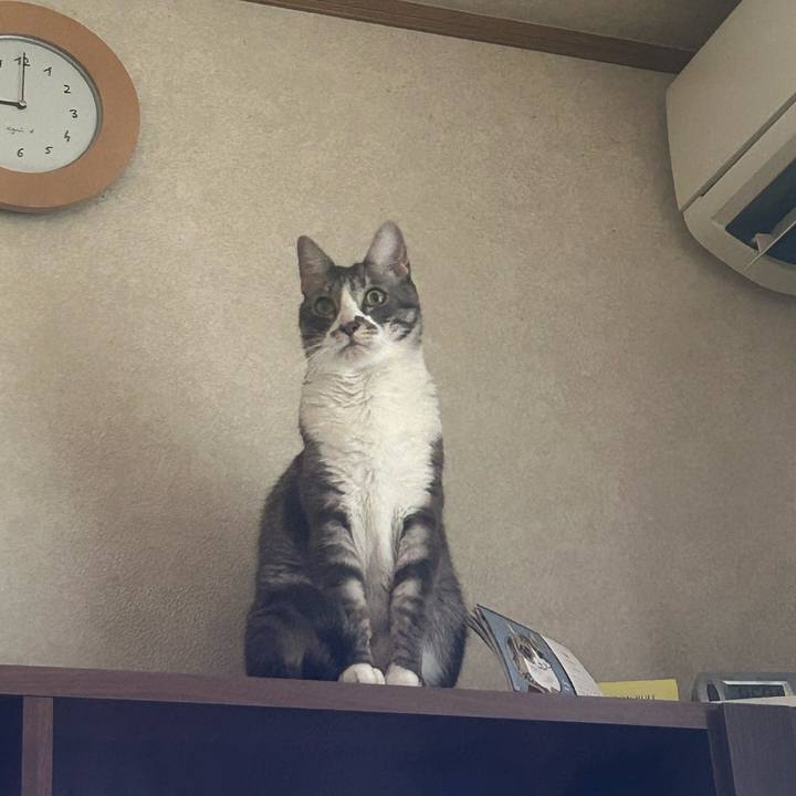 E0b71ba9 d394 4c35 bcab 4c0cbcf99b63 1765323093906