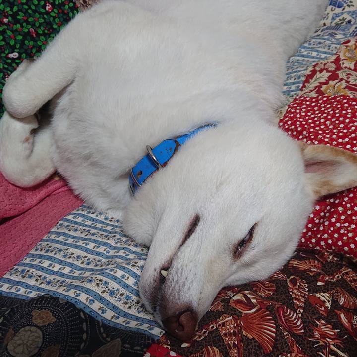 E0b72559 a3b3 465d 89da 69b36f756cb9 1587385401947