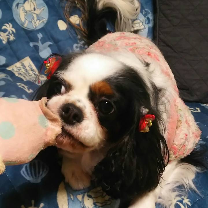 E0b73013 1fb2 41d6 87d5 fb096d3d9edc 1514547386912