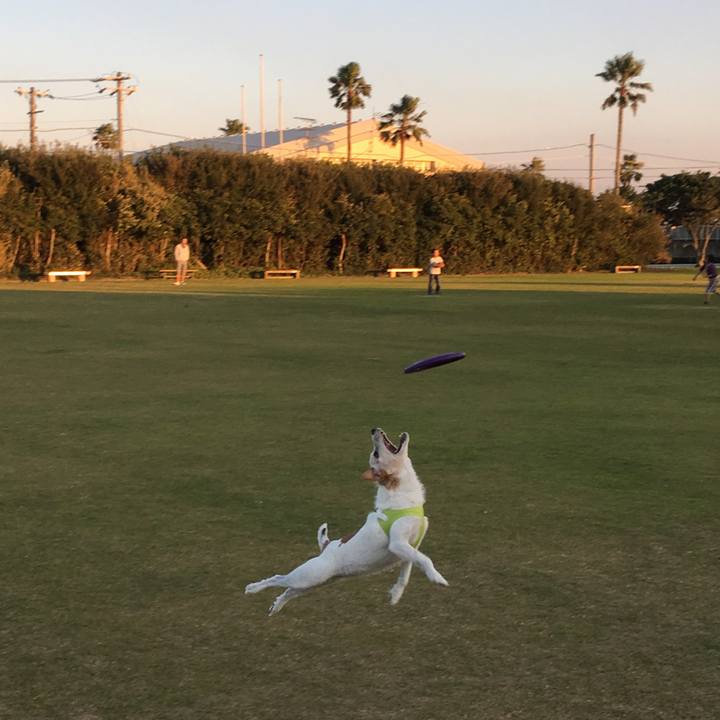 E0b76163 4fde 408a 8ff0 90c7b306bd96 1509798427291