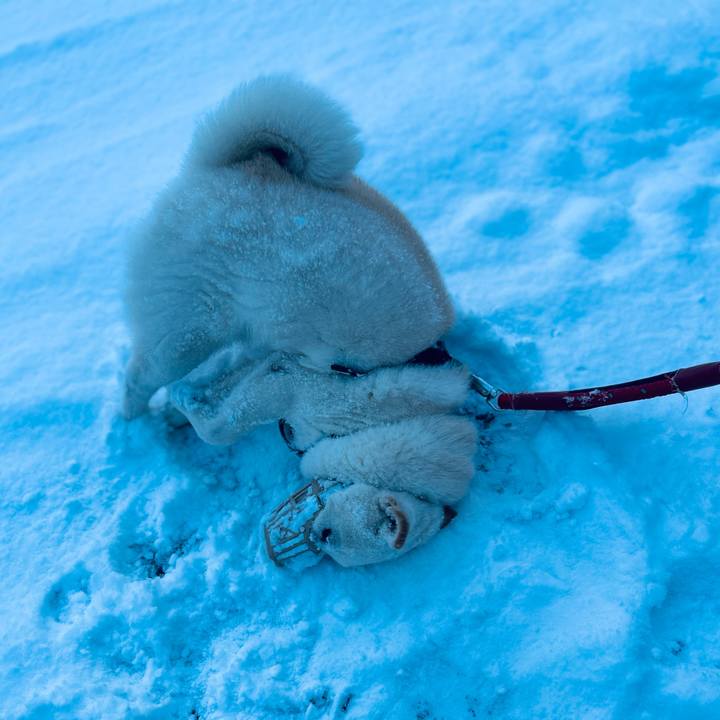 E0b76fb1 600a 4086 89ed d6ccb3dda892 1732918640207