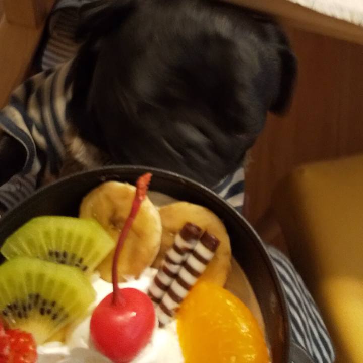 E0b7a35d 6fae 4c13 a9dd ef630760b5f4 1575607520198