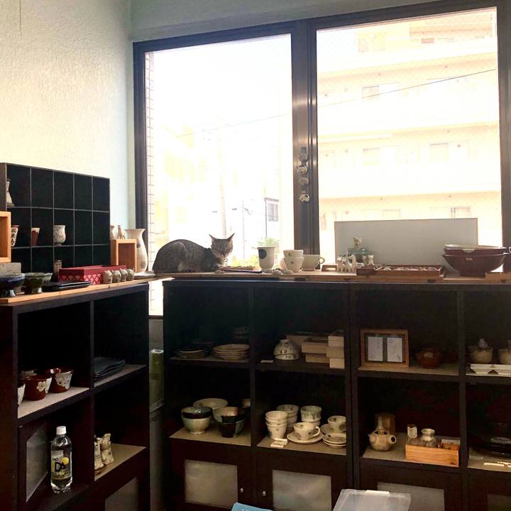 E0b7a489 9f02 4e91 99b8 c5f23c5802e8 1653133053626