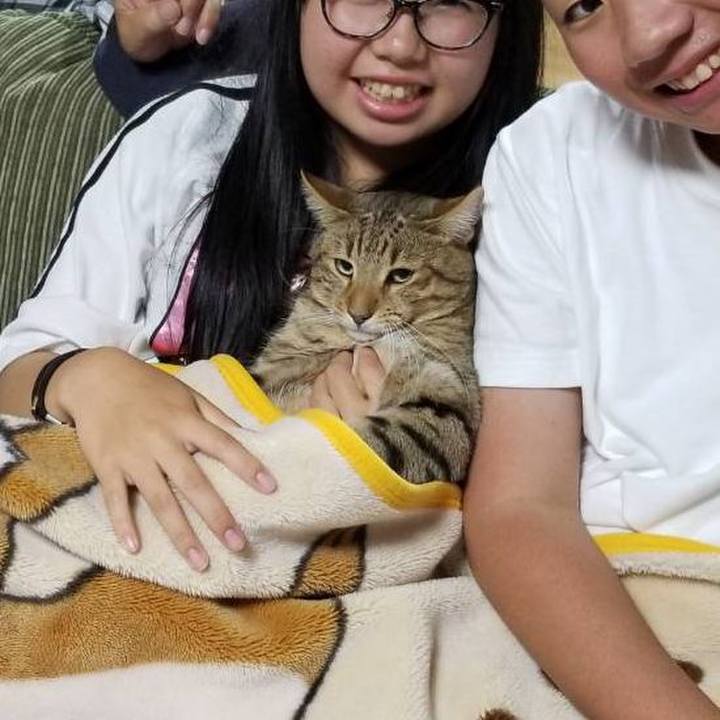 E0b7fd08 72e6 4d2f 8d56 5864ed980e3f 1626874159663