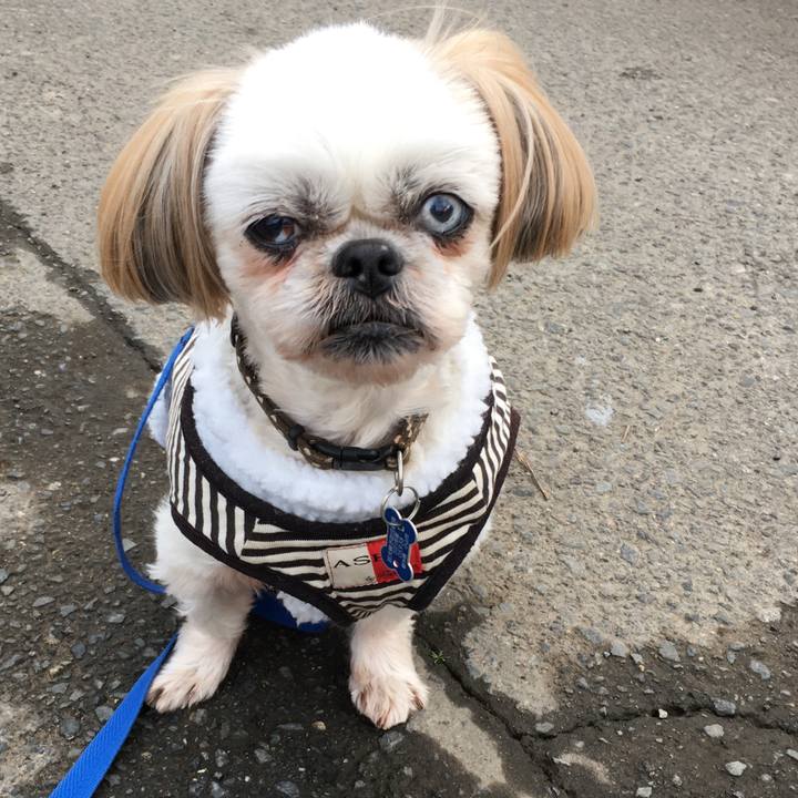 E0b81e2d 60f0 472e bd26 4158f7afb17e 1639724658176