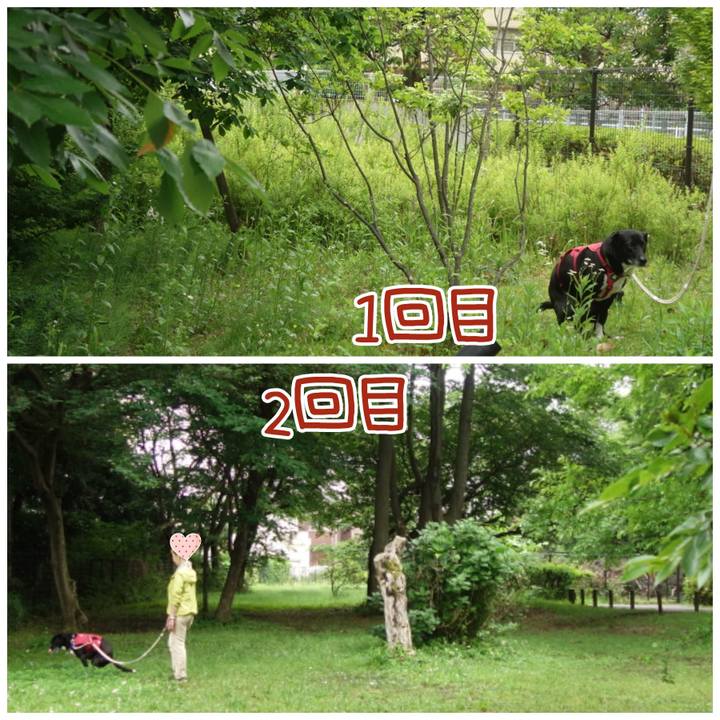 E0b859d3 75a4 4ea1 b8fb ded57150d819 1684025863937