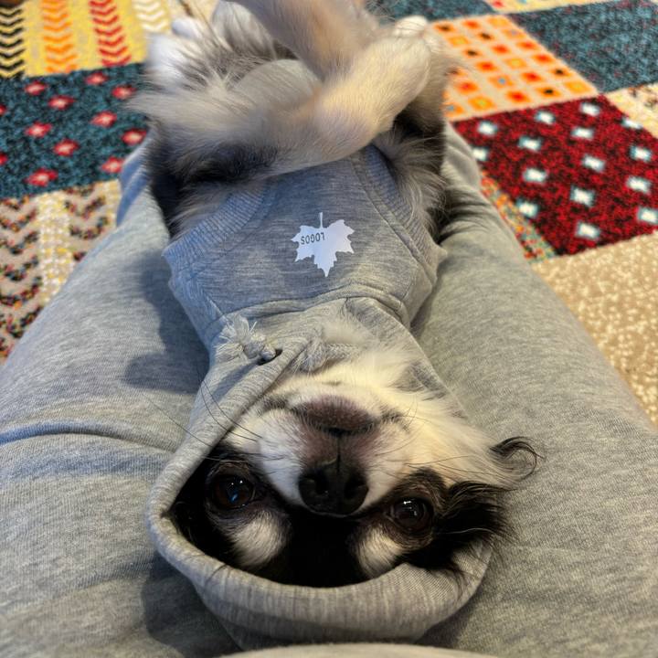 E0b861a8 c632 41c3 b08c 7f81bc1e53b3 1732464837971