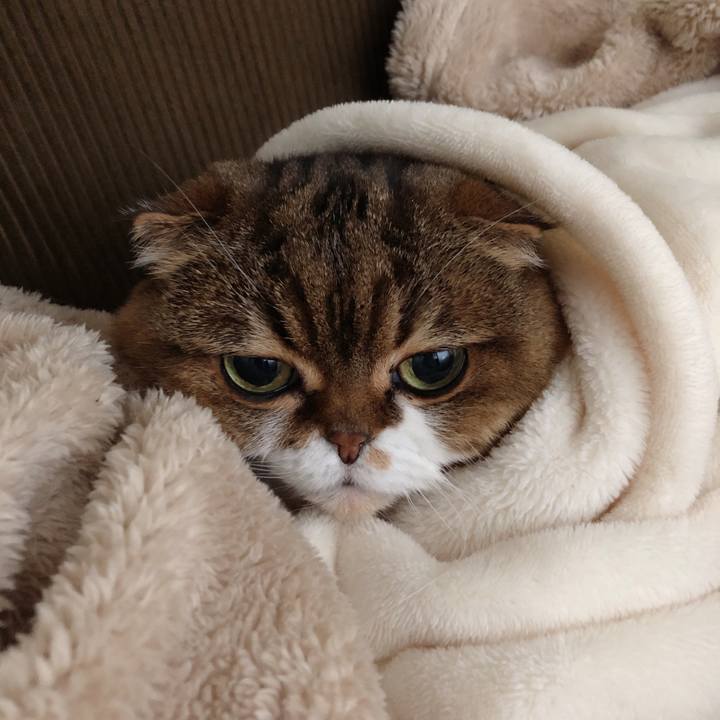 E0b884b4 027c 4109 bb1d ff98488748c1 1550385868383