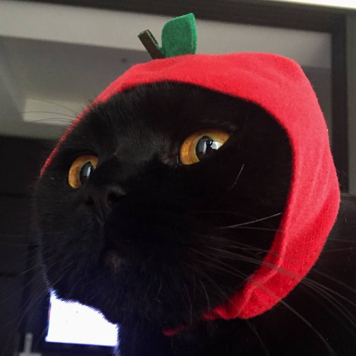 E0b893d5 c339 4052 ba74 cc5565e6a660 1509753867537