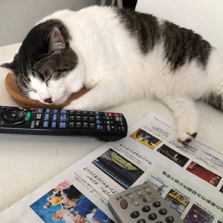 E0b895f9 2b09 4817 b1f3 759046e5bcf4 1687731607368