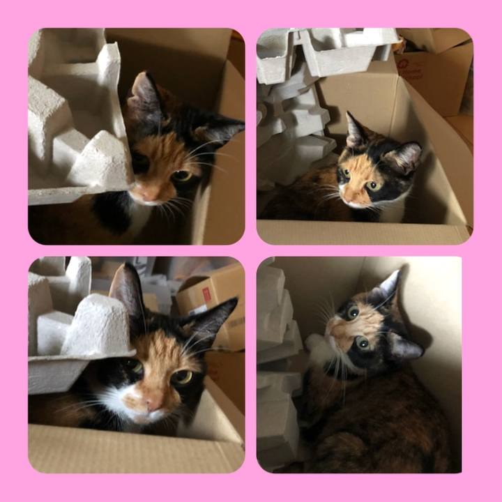 E0b8ac0a 835d 4d63 9c49 9db25e45634e 1536377655302