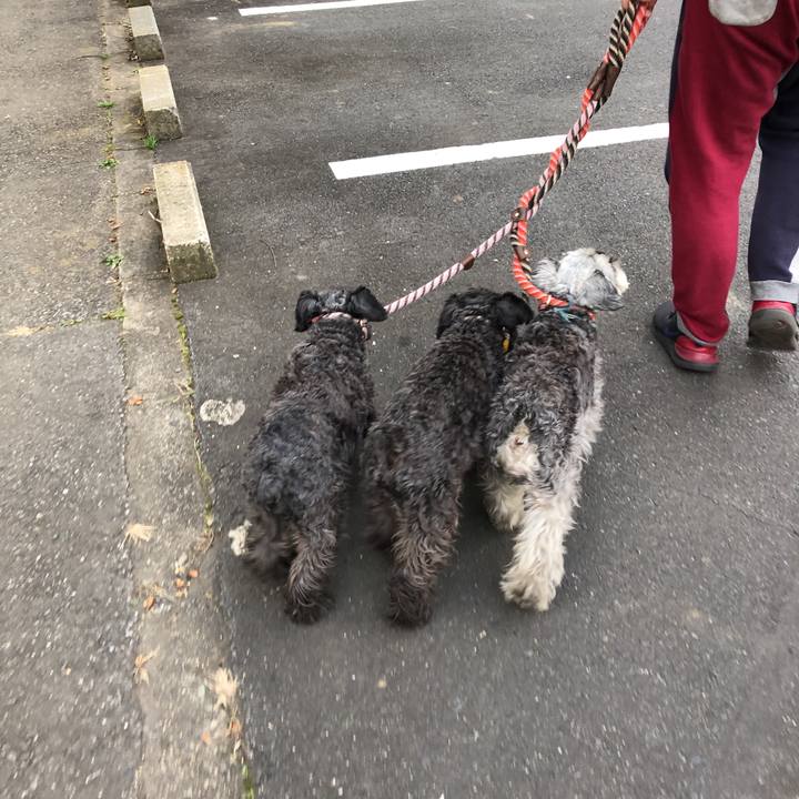 E0b8c7c0 890d 48c6 a2cb 6ba2e9d196fb 1578120643302