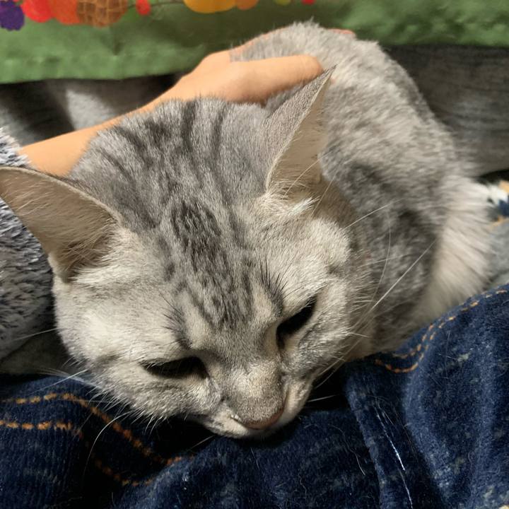 E0b8c8db ec4b 4126 80ed adfb4786484f 1579786736996