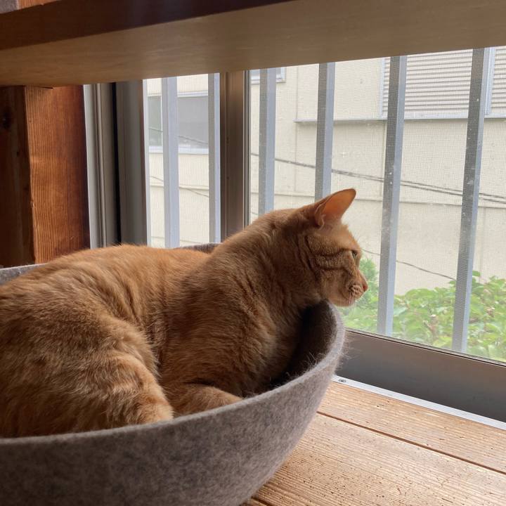 E0b8ee81 fd02 4e88 815a 2e141baf1ef4 1717891683242