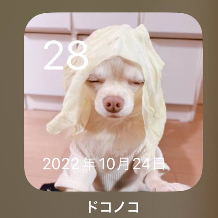 E0b91f3d 7208 4f70 8bba dfd1e4fa13fc 1698482149491