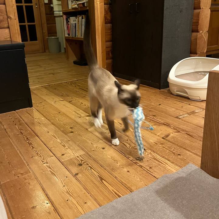 E0b952ac 3716 4679 b9e2 605c5ac58d8f 1731583263064