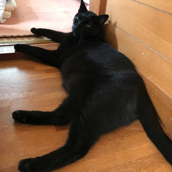 E0b96b01 9b4b 4273 87f3 69fb68bc2948 1535503837487