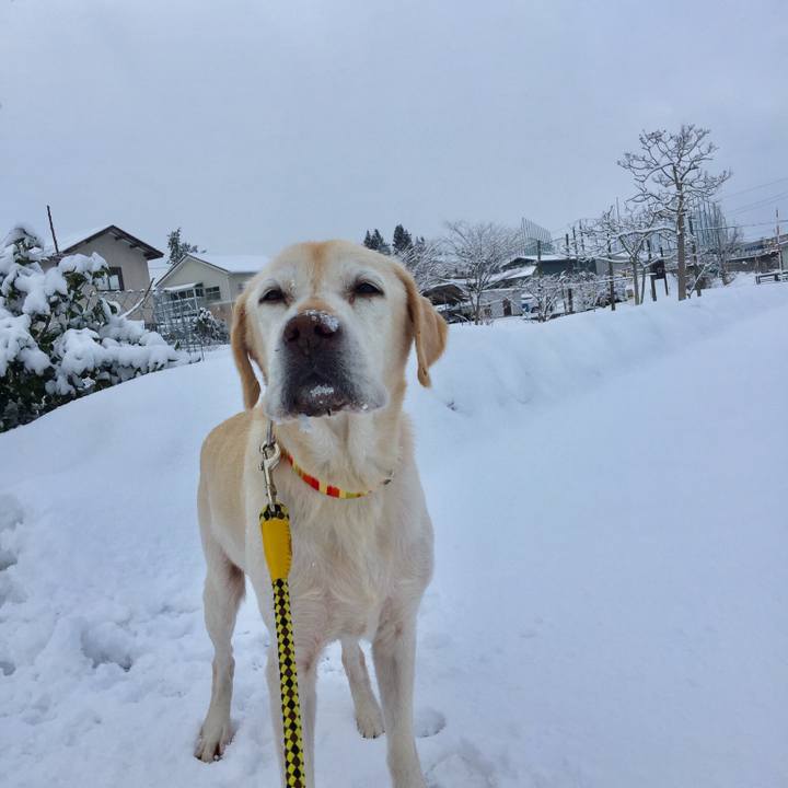 E0b9966c 232c 4e97 88fc 5b4d75d61b6a 1547597893429