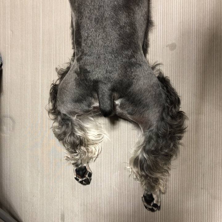 E0b9cca3 1ddc 4afe b5f0 a1e6bd7f0751 1566472124554