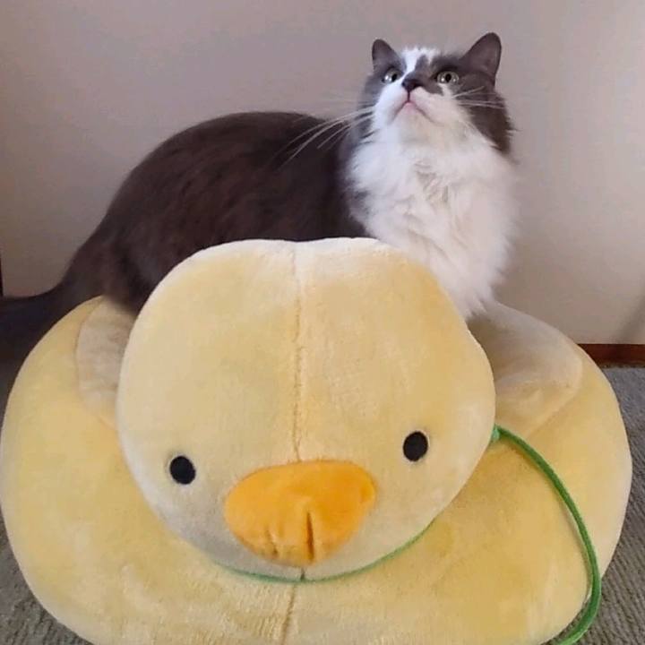 E0b9eb91 8ec6 44b8 b57e c30317a0f3d3 1670573496952