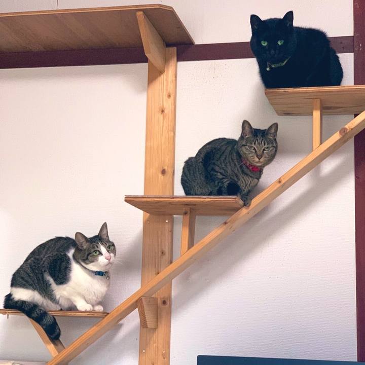 E0ba1a4d ece5 45d5 89d8 d511cae74a67 1578539793030