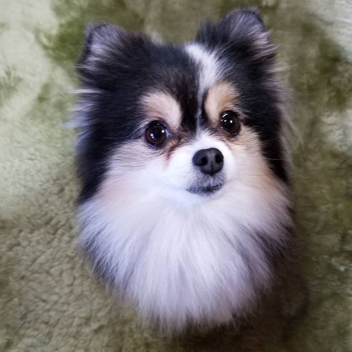 E0ba3303 04d5 45be b298 eb1701d178c5 1579475395677