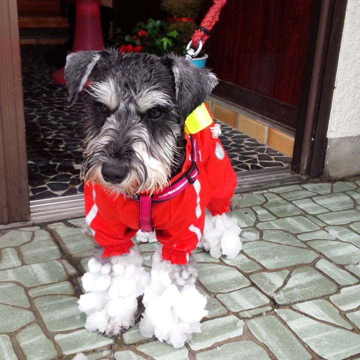 E0ba4ad4 1958 42d0 a38a eb902a63b2c5 1652768238892