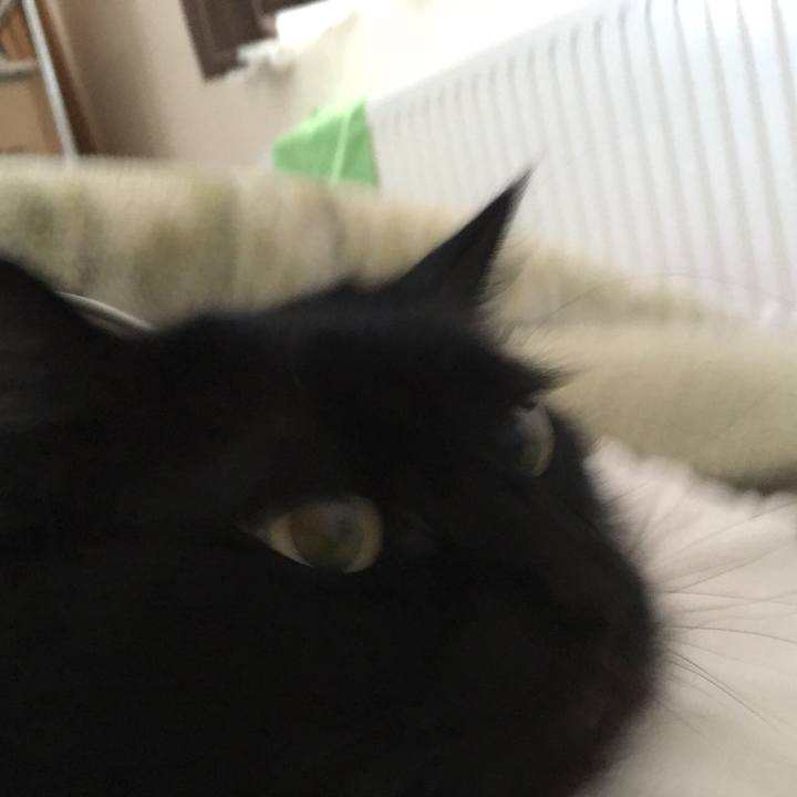 E0ba830d 0e07 4d3e 8209 25b023fe7e9b 1518132028901