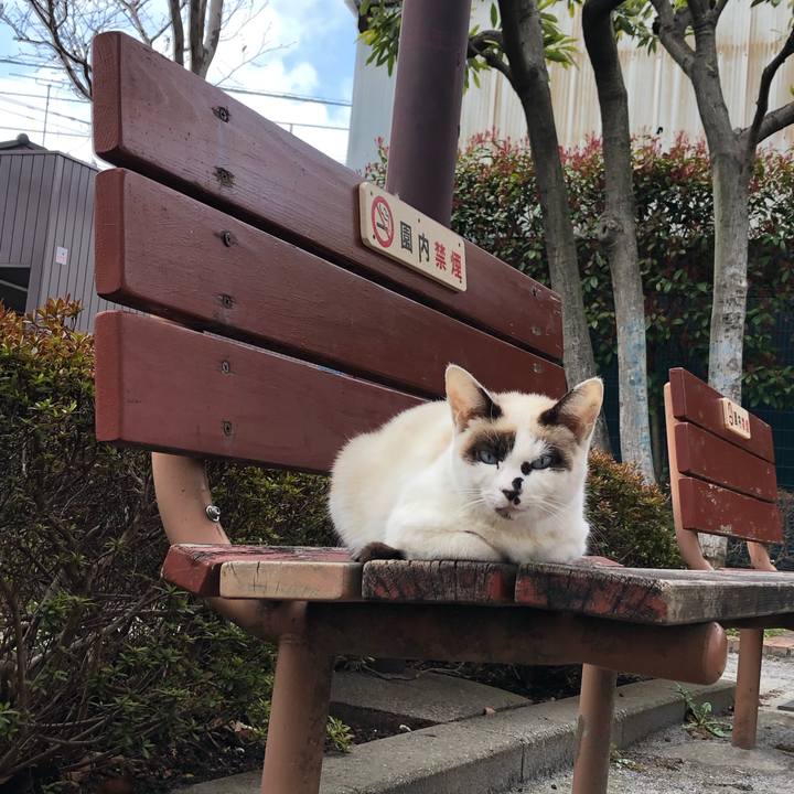 E0badd24 132f 4427 89cf 0aece0b212c2 1617084010128