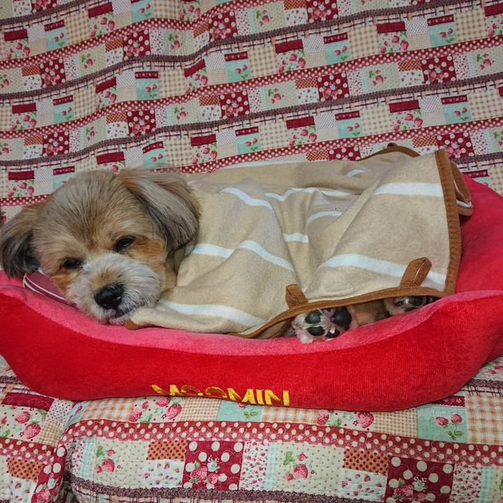 E0badeb1 a1b2 4e1b 983f 644af19a3d13 1604297233388