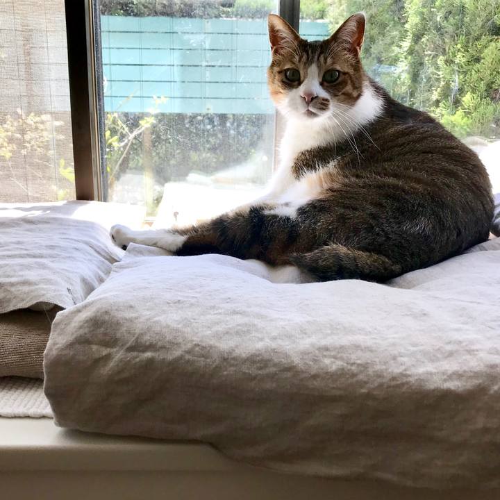 E0badfa3 782a 4ceb abea 2a2d3a51023b 1554963369895