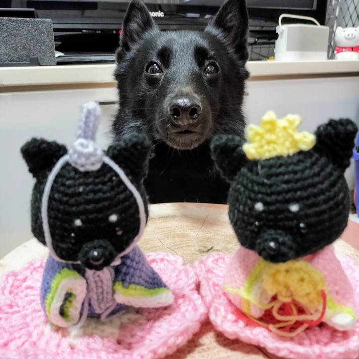 E0bb211e fd40 4287 bc85 62f30b1c88de 1709455957672