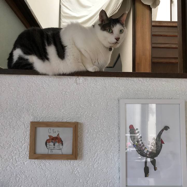 E0bb3d58 fcd5 418a 9cbf 260e0400f626 1509499379613