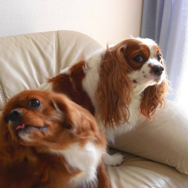 E0bb49e5 cd50 46dc a9eb b2ad2bb1bfbe 1628906444803