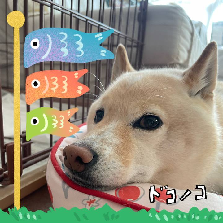 E0bb4c20 9e45 4746 afbb 16f257238919 1714880685103