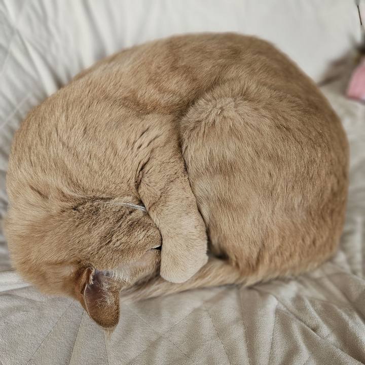 E0bb74fc 09fd 4f4c ac17 988d4987c346 1764477839623